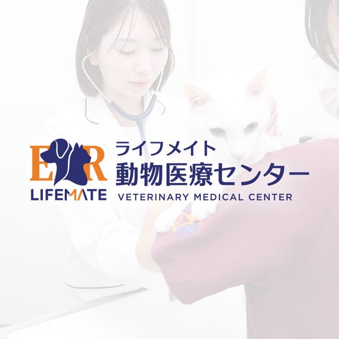 ライフメイト動物医療センターグループ